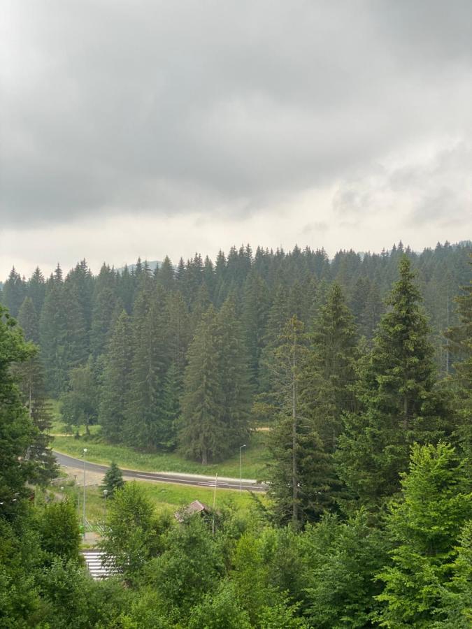 Silver Mountain C24 Royal Poiana Brasov Esterno foto
